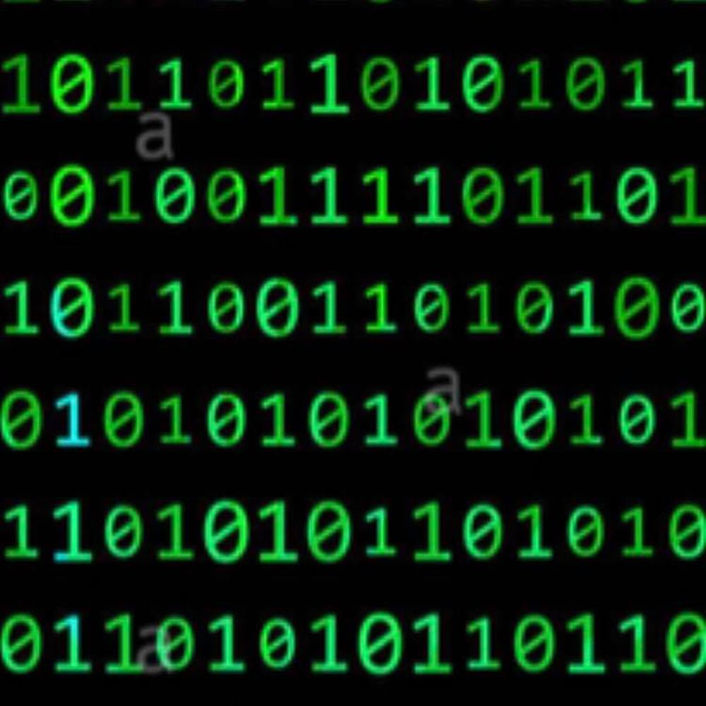 Meet your Posher, Nico